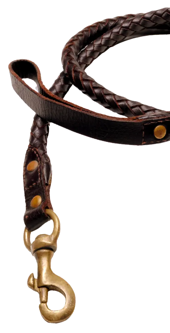 brown leather leash