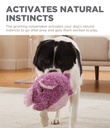 OUTWARD HOUND Jumbros Grunting Dog Toy Ball Purple Elephant