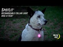 NITE IZE SpotLit Collar Light Rechargeable Disc-O Tech