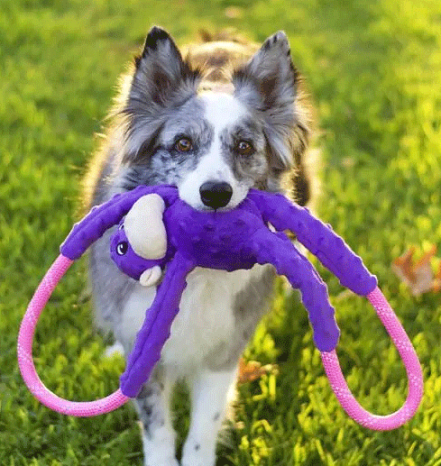 ZIPPYPAWS RopeTugz Monkey Purple