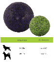 HOLIDAY JOLLYPET Soccer Ball 8in