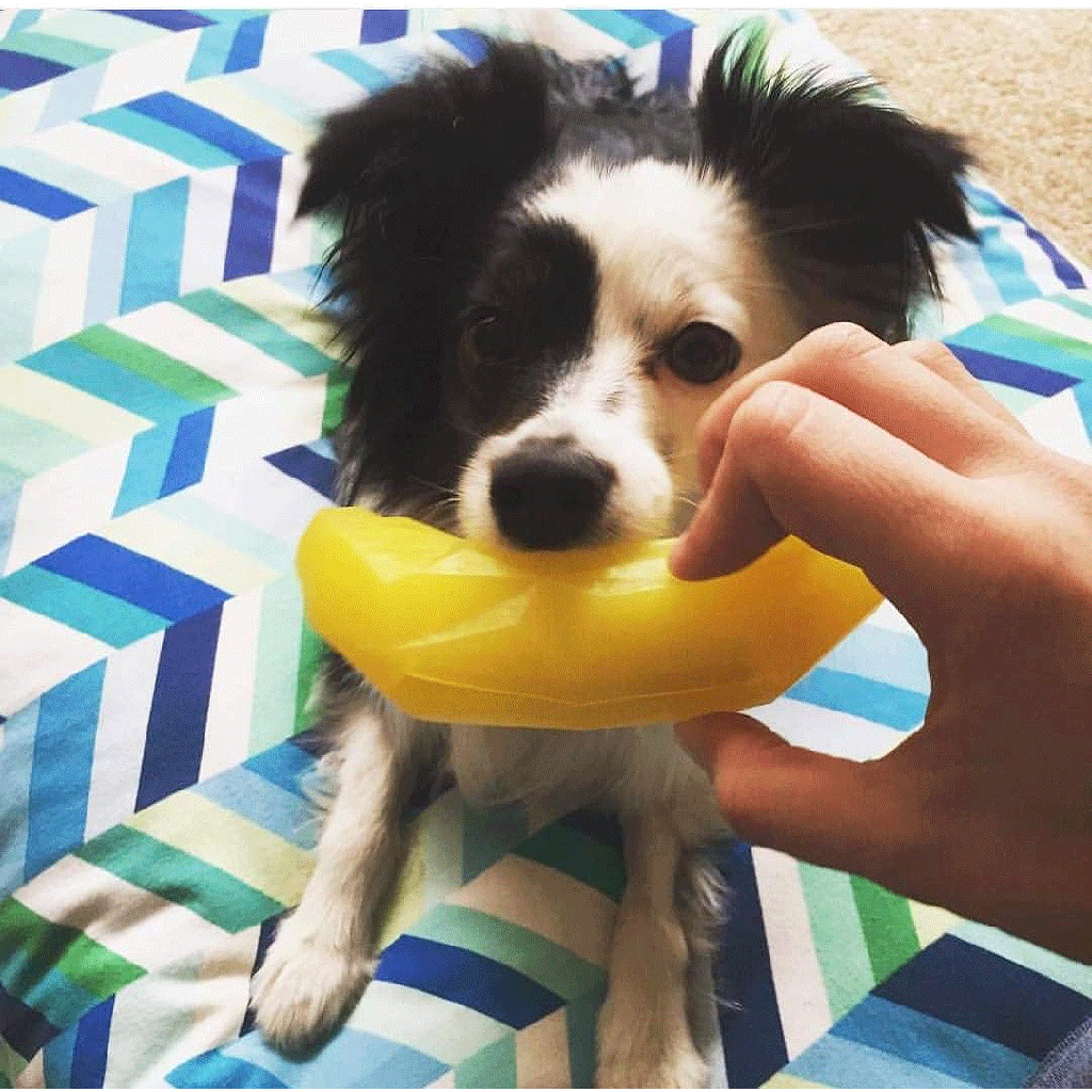 SPUNKY PUP Banana