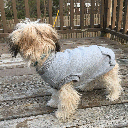 FASHION PET Dog Sweatshirt Gray XL