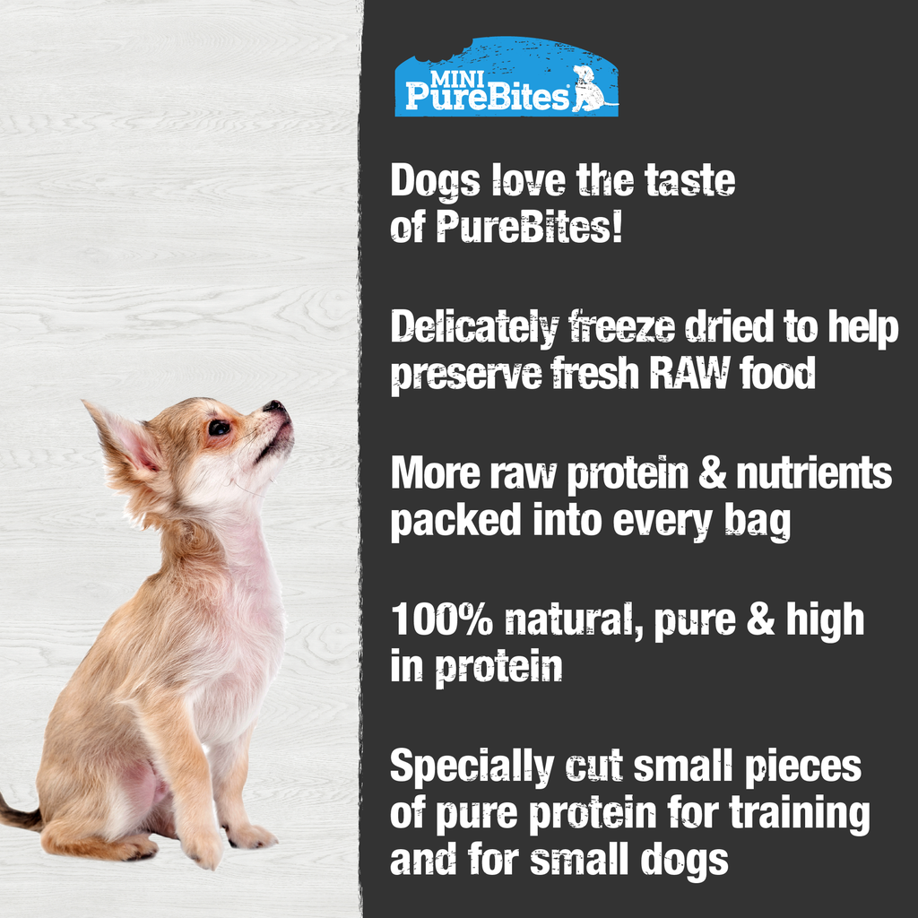 PURE BITES Trainers Mini Dog Treats Lamb Liver 2.4oz