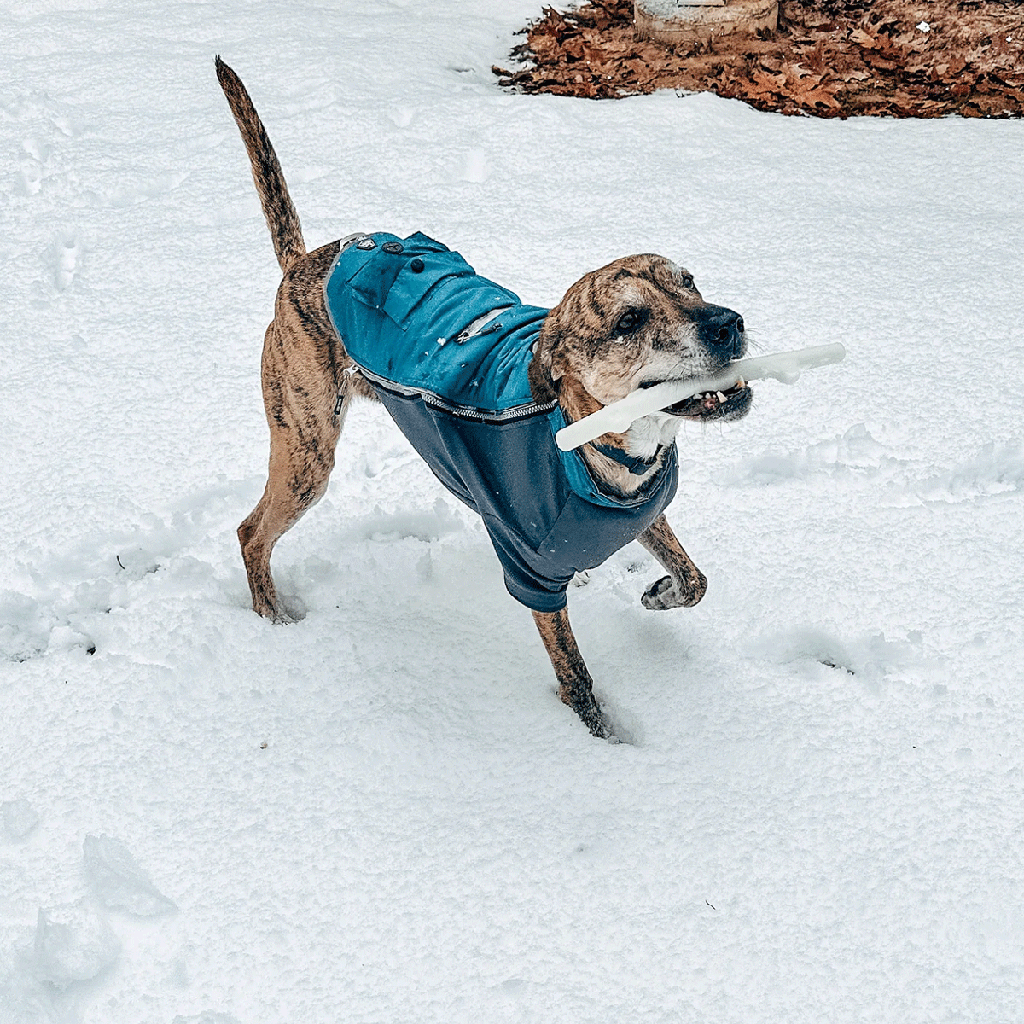 SPUNKY PUP Fetch & Glow Stick