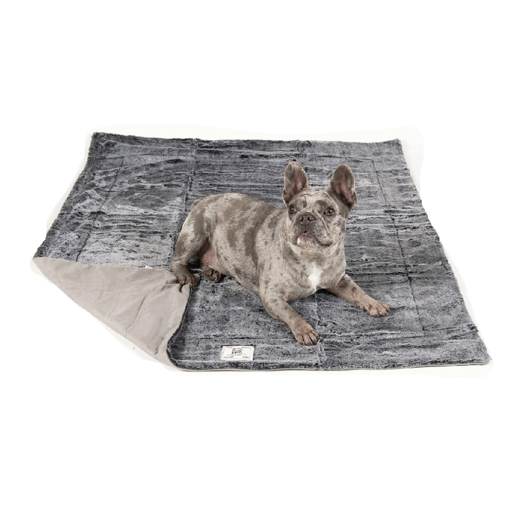 DGS Chill Kuzzi FIR Grey Blanket L 40x50"