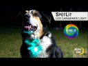 NITE IZE SpotLit Collar Light Disc-O Select