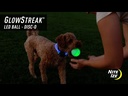 NITE IZE GlowStreak LED Ball-Disc-O