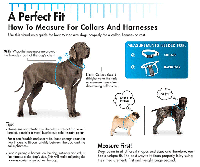 COASTAL Comfort Wrap Harness 1 x 26-38 Teal