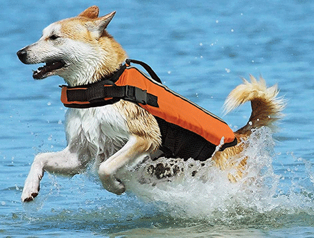 FASHION PET Life Jacket Orange