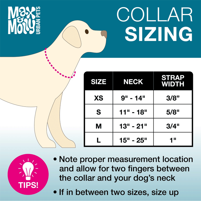 MAX&MOLLY Smart ID Dog Collar Jelly Bears L 15-25"