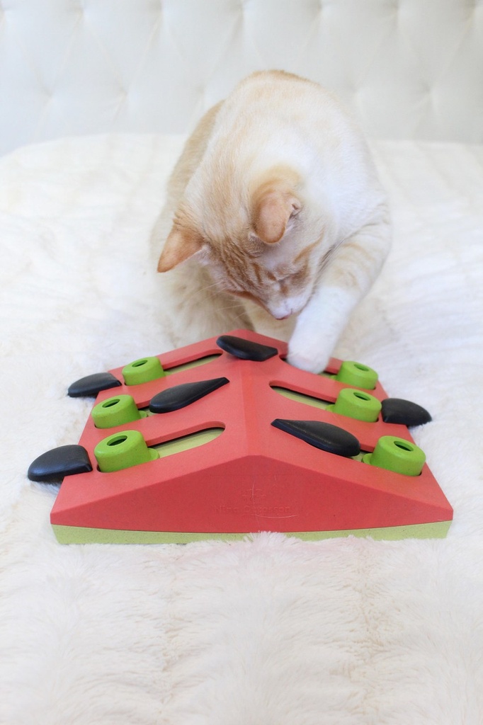 OUTWARD HOUND Melon Madness Puzzle & Play Cat Game Pink