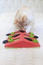 OUTWARD HOUND Melon Madness Puzzle & Play Cat Game Pink