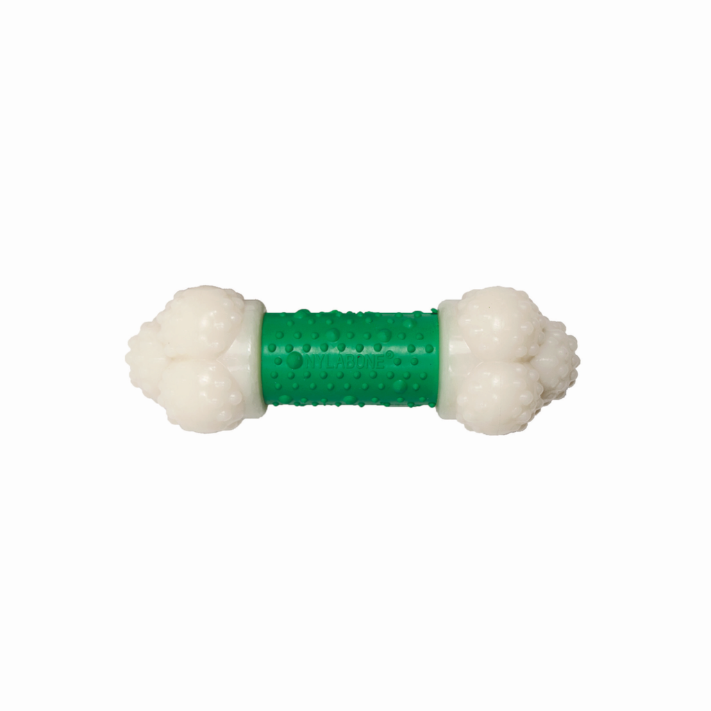 NYLABONE Double Action Chew Regular