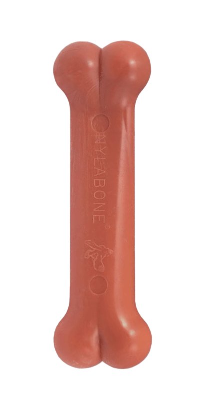 NYLABONE DuraChew Bacon Bone Regular