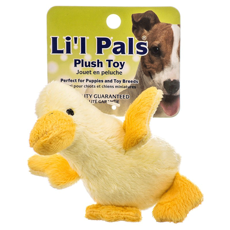 COASTAL Li'l Pals Plush Toy - Duck