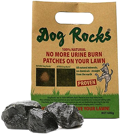 *DOG ROCKS 6 Month Supply