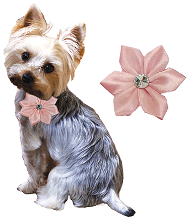 *FASHION PET Flower Pink M/L