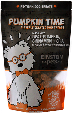 *EINSTEIN PETS Pumpkin Time 8oz