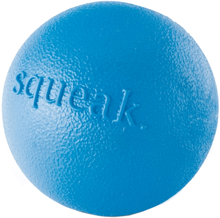 PLANET DOG Orbee Tuff Squeak Ball Blue