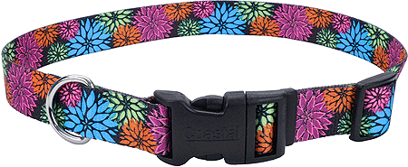 PET ATTIRE Styles Adjustable Collar 5/8 x 10-14 Wild Flower