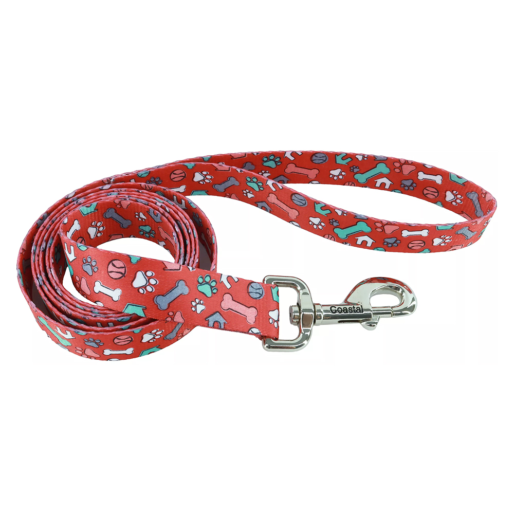 PET ATTIRE Styles Dog Leash 3/8 x 6ft Red Bone