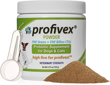 *VETNIQUE Profivex Probiotic Powder Liver 4.25oz