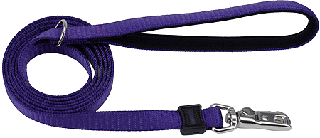 COASTAL Inspire Leash 5/8 x 6' Purple