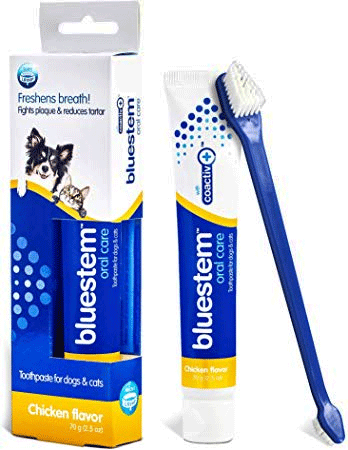 *BLUESTEM Toothpaste/Toothbrush Chicken 2.5oz