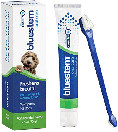 *BLUESTEM Toothpaste/Toothbrush Vanilla Mint 2.5oz
