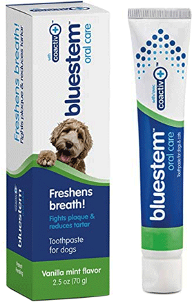 *BLUESTEM Toothpaste Vanilla Mint 2.5oz