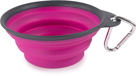 DEXAS Collapsible Travel Cup 2-cup Fuchsia