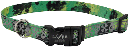 *COASTAL LazerBrite Patterned Collar 3/8 x 8-12" Lime Skulls