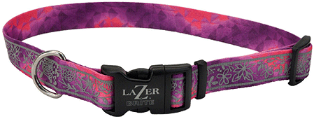 *COASTAL LazerBrite Patterned Collar 3/8 x 8-12" Pink Multi Flowers