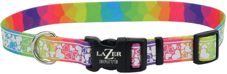 *COASTAL LazerBrite Patterned Collar 5/8 x 12-18" Rainbow Hearts