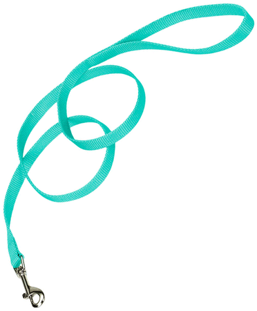 COASTAL Nylon Lead 6' x 5/8in Teal