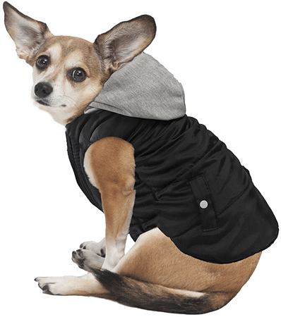 *FASHION PET Sporty Puffer Reversible Black S