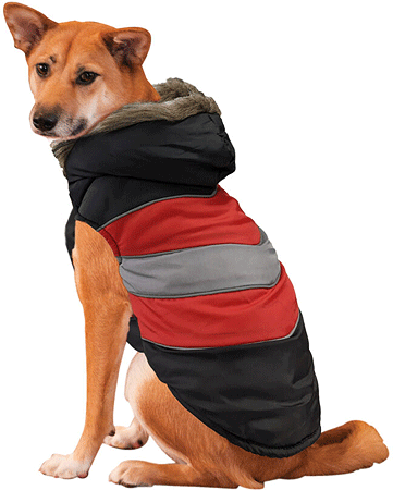 *FASHION PET Diagonal Stripe Puffy Coat Red M