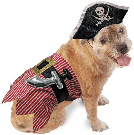 *FASHION PET Halloween Costume Pirate M/L