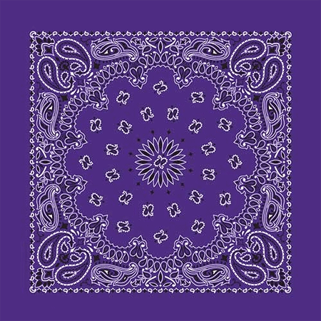 *BANDANNA Paisley Purple 12pk