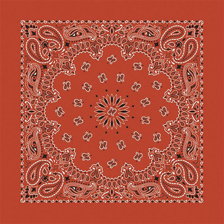 BANDANNA Paisley Terracotta 12pk