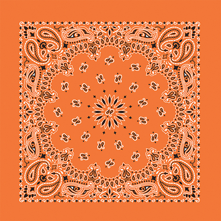 *BANDANNA Paisley Orange 12pk