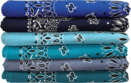 BANDANNA Paisley Asst Ocean