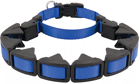 *COASTAL Natural Control Training Collar Small Blue