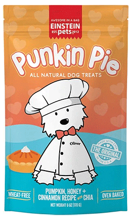 *EINSTEIN Everydays: Punkin Pie 6oz