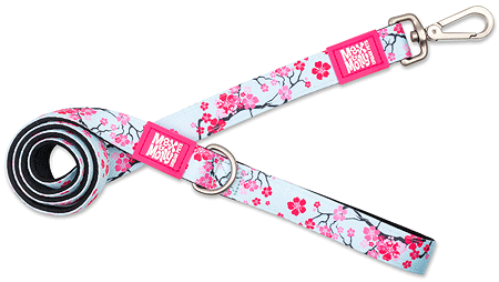 MAX&MOLLY Classic Neoprene Leash Cherry Bloom M 7/8" x 4ft