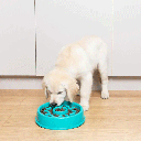 ZIPPYPAWS Happy Bowls Donut