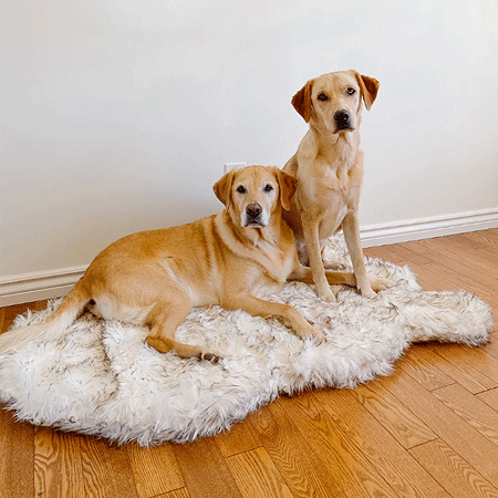 *PAW PupRug Faux Fur Orthopedic Dog Bed Curve White w/Brown Accents L/XL