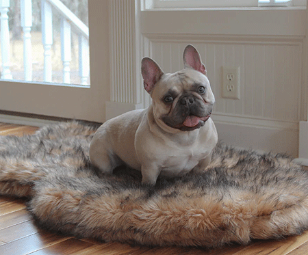 *PAW PupRug Faux Fur Orthopedic Dog Bed Curve Sable Tan S/M