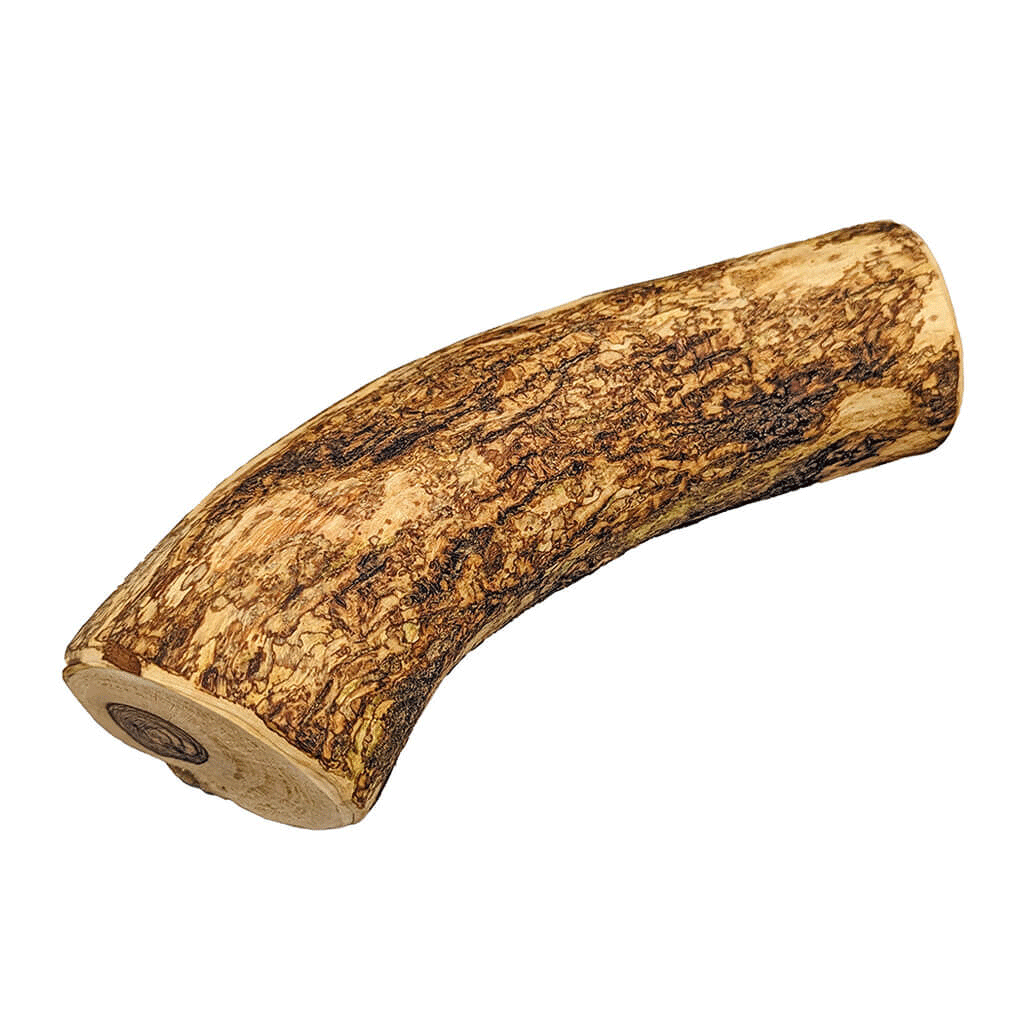 *ETHICAL/SPOT Love The Earth Olive Wood Dog Chew XL